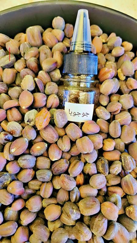 زيت الجوجوبا